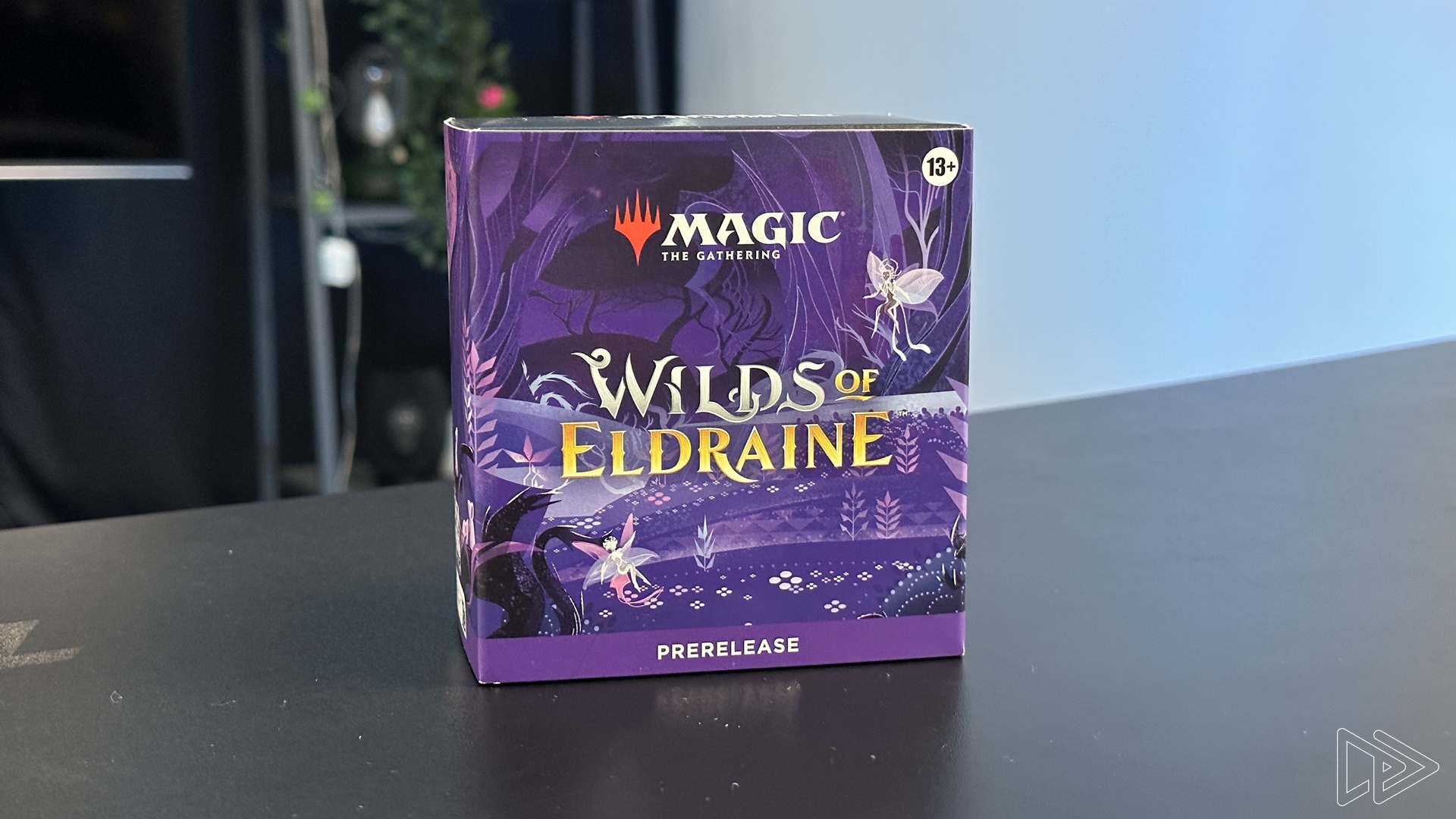 MTG Wilds of Eldraine Prerelease Experience – From Adventures to Anime Cards!